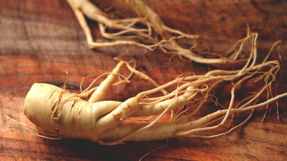 Raiz de ginseng para aumentar a potência